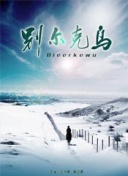 案例分享基于百度SEO诊断的成功整改经验